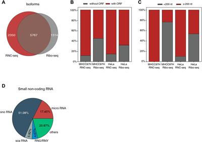 Efficient Detection of the Alternative Spliced Human Proteome Using Translatome Sequencing